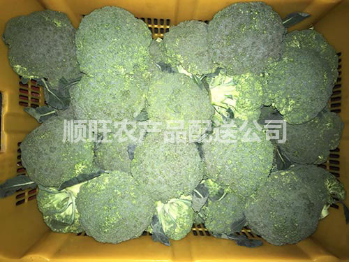 广州送菜公司