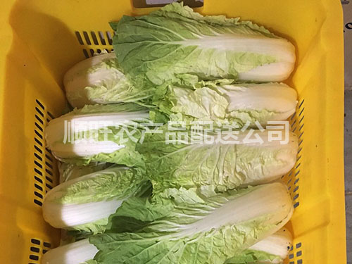 东莞蔬菜配送