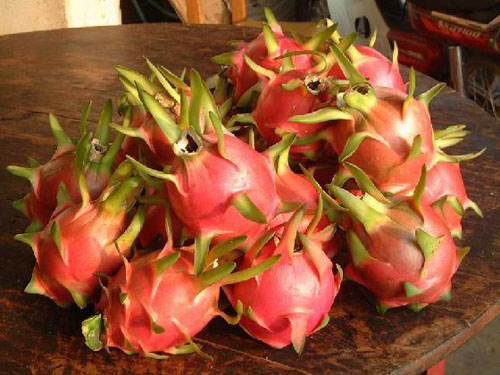 东莞蔬菜配送