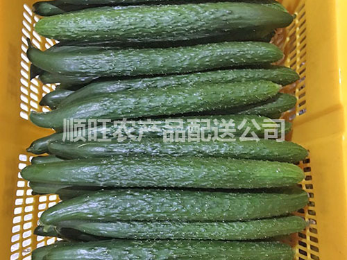 东莞送菜公司
