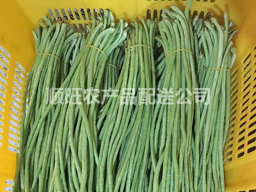 东莞蔬菜批发